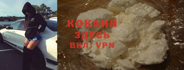 индика Богородицк
