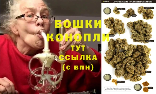гашик Богородск