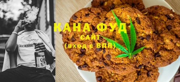 индика Богородицк