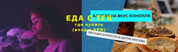 индика Богородицк