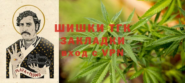 ешки Богданович