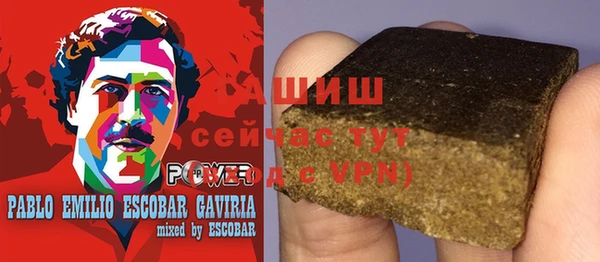 индика Богородицк