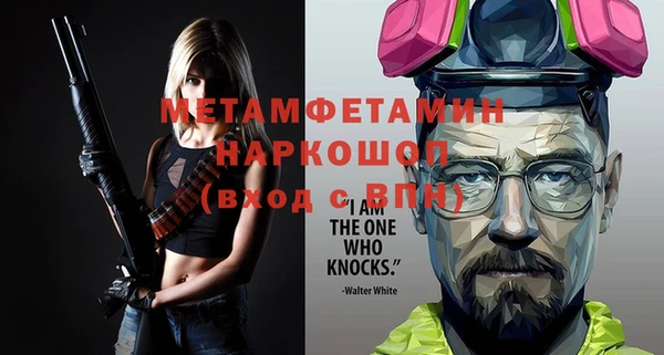 индика Богородицк