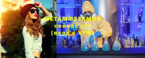 индика Богородицк