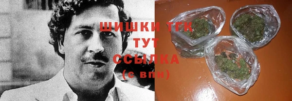 индика Богородицк