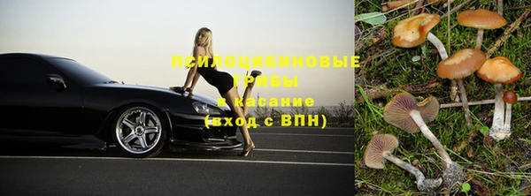 ешки Богданович