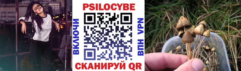 Галлюциногенные грибы прущие грибы Южноуральск